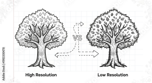 High and low resolution tree comparison.