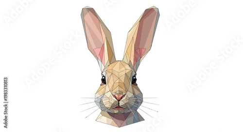 Cute rabbit face with long ears.