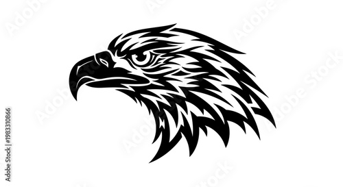 Detailed illustration of an eagle head.