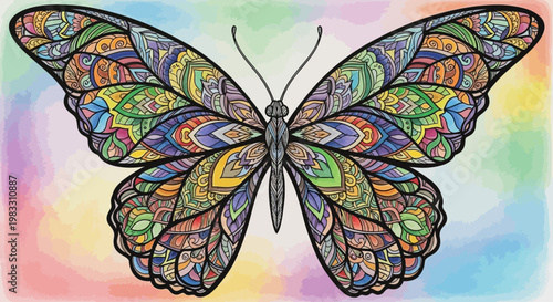 Colorful Butterfly with Open Wings.