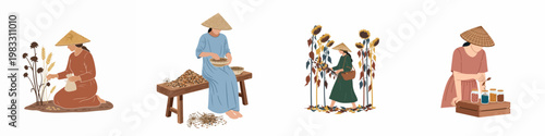 Vector illustrations of Asian women in conical hats engaged in traditional agricultural activities like harvesting, sorting, and storing seeds and grains.