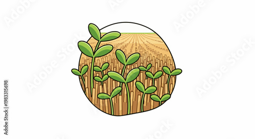 Young green sprouts emerge from a harvested field under a pale sky