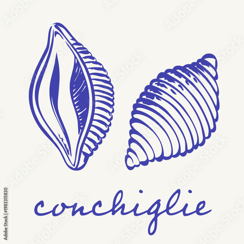 Blue conchiglie pasta illustration with two shell-shaped noodles and handwritten lettering on a light background. Italian food motif featuring classic ridged shells in a clean retro style.