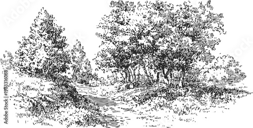 Black and white ink drawing of a forest path winding through trees and shrubs, natural outdoor landscape