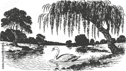 swan swimming on lake near willow tree in serene natural landscape with trees and grassy banks