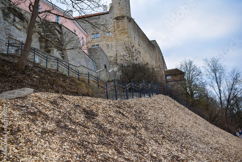Concrete Public Stairs with Railing on Hillside with Mulch Cover
