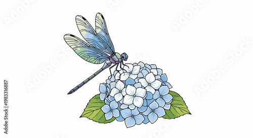 A delicate illustration of a dragonfly perched on a cluster of blue hydrangea flowers
