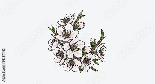 Delicate pink blossoms with green leaves bloom on brown branches