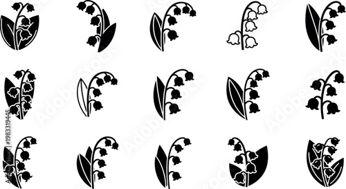 Black and white of lily of the valley flowers with leaves botanical nature