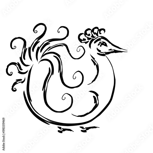 black and white peacock