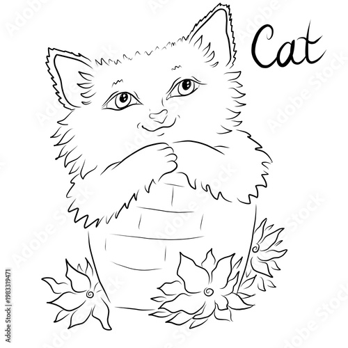 vector illustration of a cat