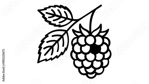 Minimalist raspberry line icon vector illustration. Fresh blackberry fruit with leaves on a stem. Scalable black and white outline graphic for healthy food, organic farming, and nature-themed designs.