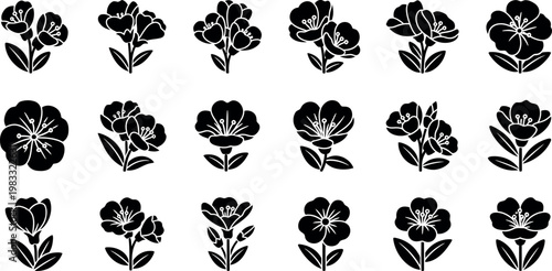 Collection of black floral silhouette with leaves and stems flower white
