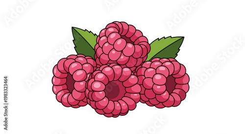 Five bright pink raspberries with green leaves, isolated on white