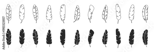 Feather icon set, bird plume and quill symbols, nature decorative elements, silhouette shapes on transparent background