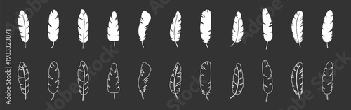 Feather symbol pack, bird plume and quill icons, nature decorative elements, editable vector collection 