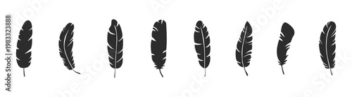 Feather symbol pack, bird plume and wing icons, nature decorative elements, editable vector collection on transparent background