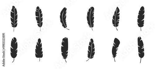 Feather icon set, bird plume and wing symbols, nature decorative elements, soft silhouette shapes on transparent background