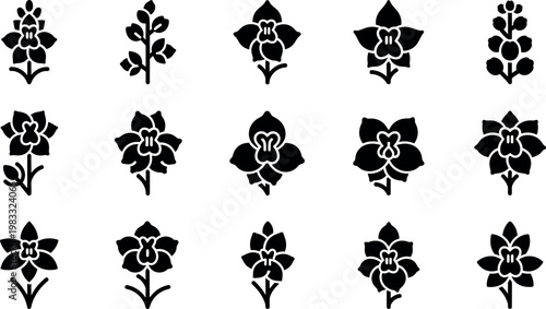 Collection of black orchid flower on white background black and white