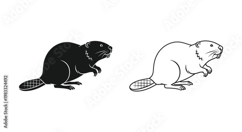 Black and White Beavers: Nature’s Unique Rodents Vector