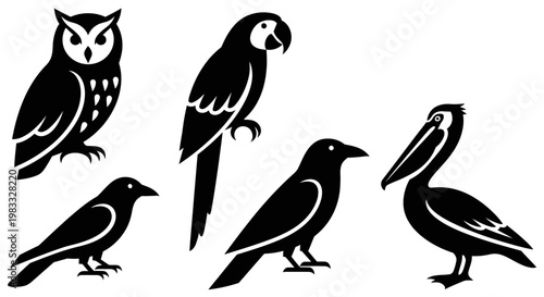 Diverse Bird Silhouettes Collection: Owl, Parrot, Crow, Pelican Graphic Set
