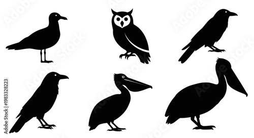 Diverse Bird Silhouettes Collection: Owl, Pelican, Crow, Seagull Vector Set