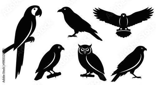 Diverse bird silhouettes collection: parrot, owl, eagle, crow, and other wild birds