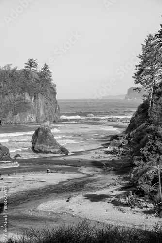 Secluded Rocky Shoreline with Driftwood and Ocean Waves