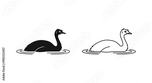 Black and White Ducks Illustration Design Vector
