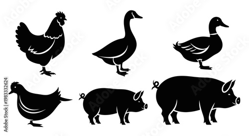 Farm Animals Silhouettes Set: Chicken, Goose, Duck, and Pig Vector Icons