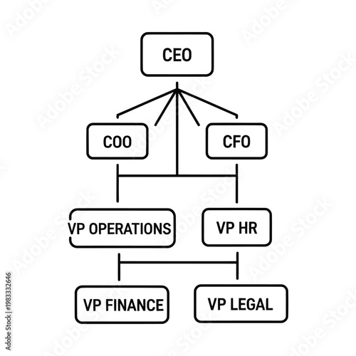 Corporate Organizational Chart Showing CEO, COO, CFO, and Vice Presidents in Hierarchical Structure