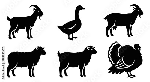 Farm Animals Silhouettes Set: Goat, Goose, Sheep, and Turkey Icons