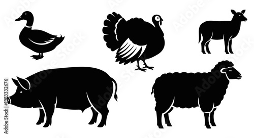 Farm Animals Silhouettes Set: Duck, Turkey, Pig, Sheep - Livestock Icons Collection