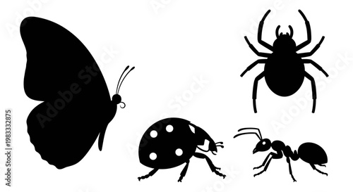 Insect and Bug Silhouettes Collection: Butterfly, Spider, Ladybug, Ant Icons
