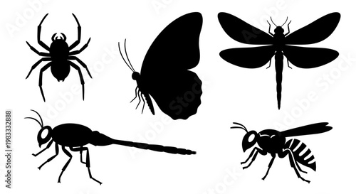 Insect and Bug Silhouettes Collection: Spider, Butterfly, Dragonfly, Bee, Wasp