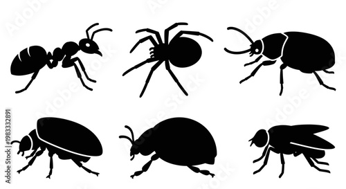 Insect and Bug Silhouettes Set - Ant Spider Beetle Ladybug Fly Vector Icons