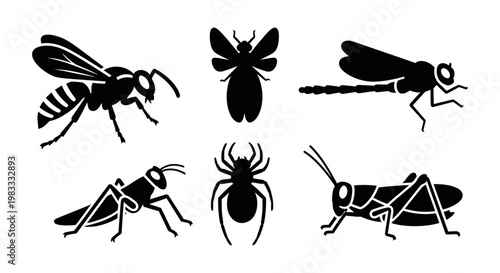 Insect and Bug Silhouettes Collection: Wasp, Dragonfly, Grasshopper, Spider Icons Set