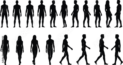 Human body silhouettes set in walking and standing poses, male and female figures collection, anatomy reference shapes black vector illustration isolated on white