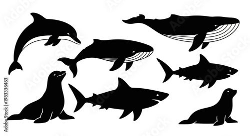 Marine Animal Silhouettes Collection: Dolphin, Whales, Sharks, and Seals