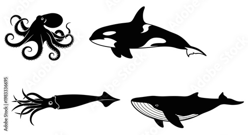 Marine Animals Silhouettes Set: Octopus, Orca, Squid, and Whale Vector Illustration