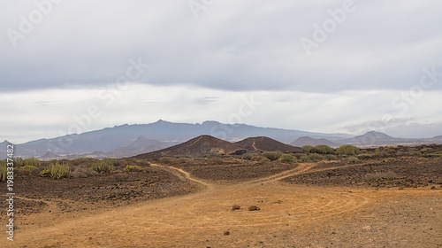 Bild auf Leinwand dirt road through Shrubland and mountains of Malpais de Rasca, TenerifeCanary is