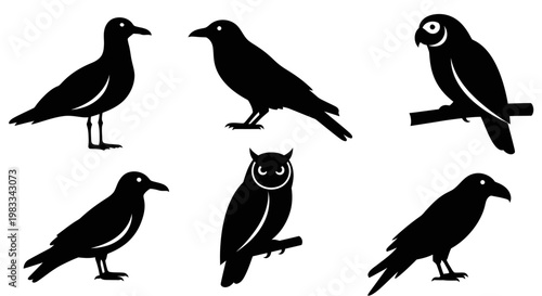 Various Bird Silhouettes Collection: Crow, Owl, and Seagull Vector Icons Set