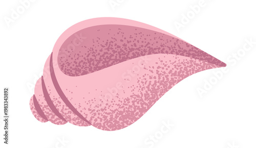 Seashell Swirl With Grainy Texture Cartoon