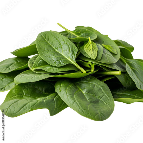 Fresh Spinach Leaves for Healthy Cooking and Nutrition