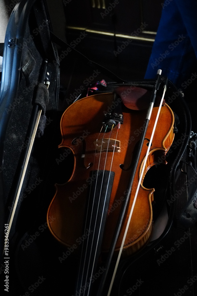 Fototapeta premium Violino dentro da caixa com sombra.