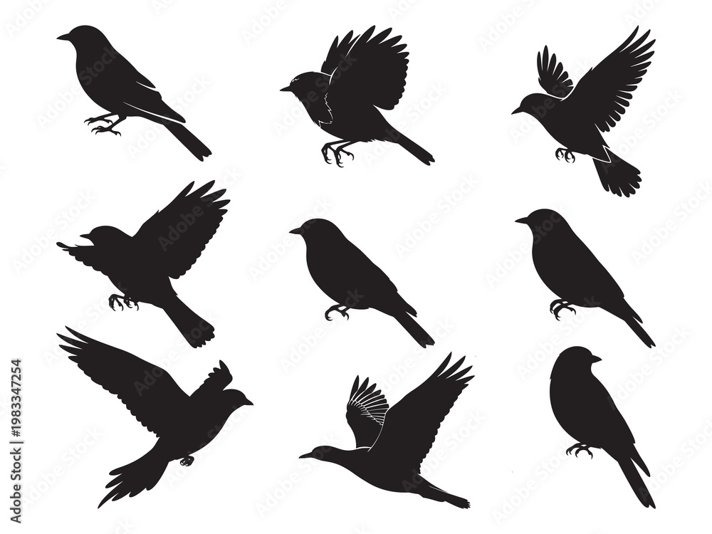 Fototapeta premium Set of Bird Silhouettes in Different Poses, Perching and Flying Songbirds Collection