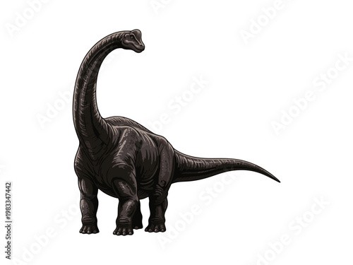 Brachiosaurus dinosaur 3D illustration on white background