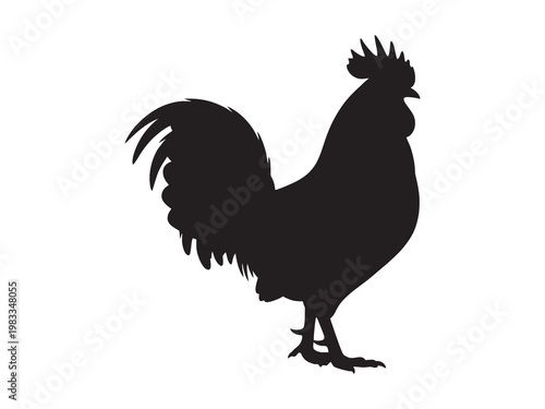 Rooster silhouette vector illustration on white background
