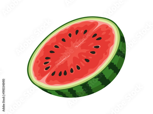 Fresh half cut watermelon illustration with red flesh and black seeds on white background