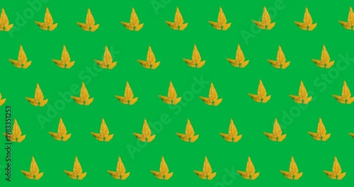 Digital animation of multiple autumn maple leaves in seamless pattern against black background